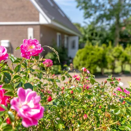 Апартаменты Rote Koje *
